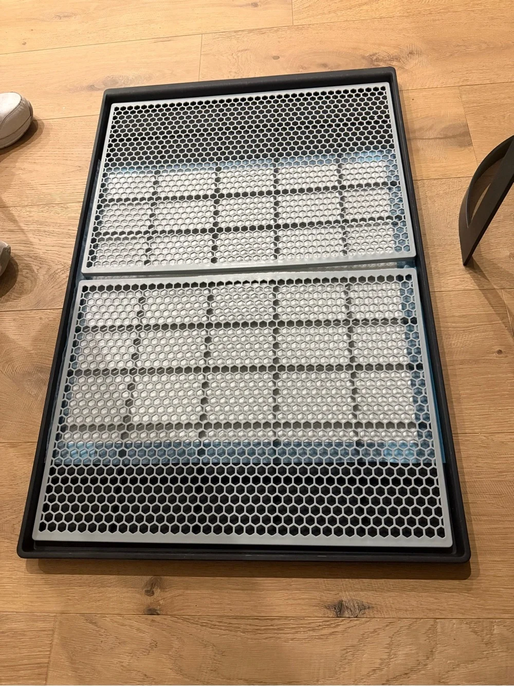 Dog Housebreaking Training Tray with Gray Honeycomb Grids